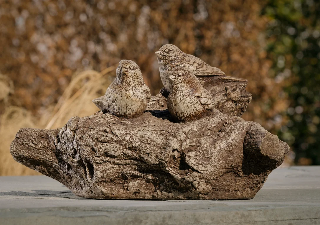 birdsallgarden992820