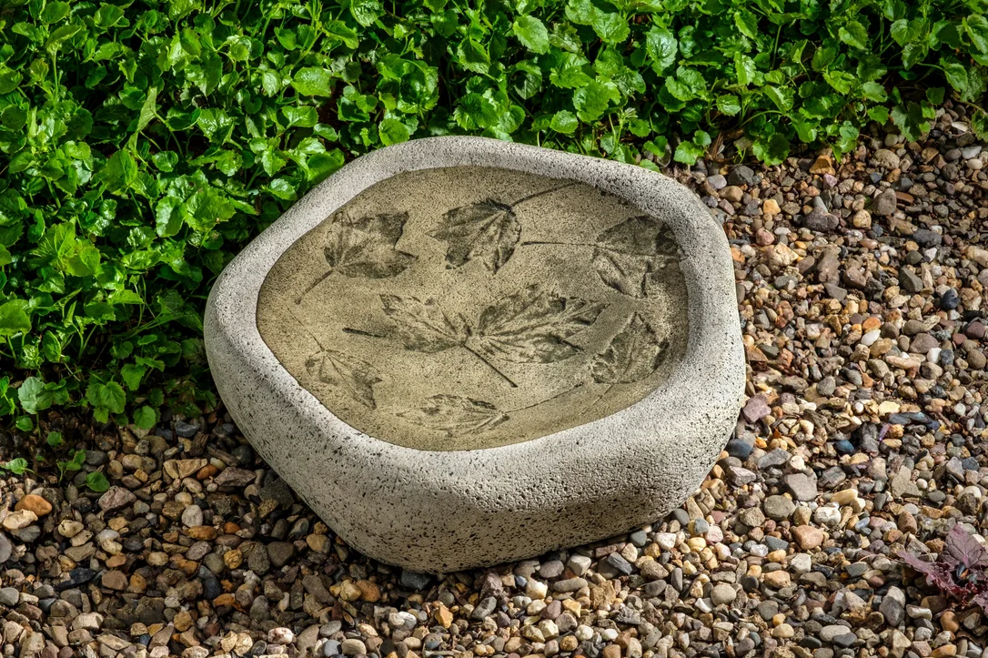 birdsallgarden992828