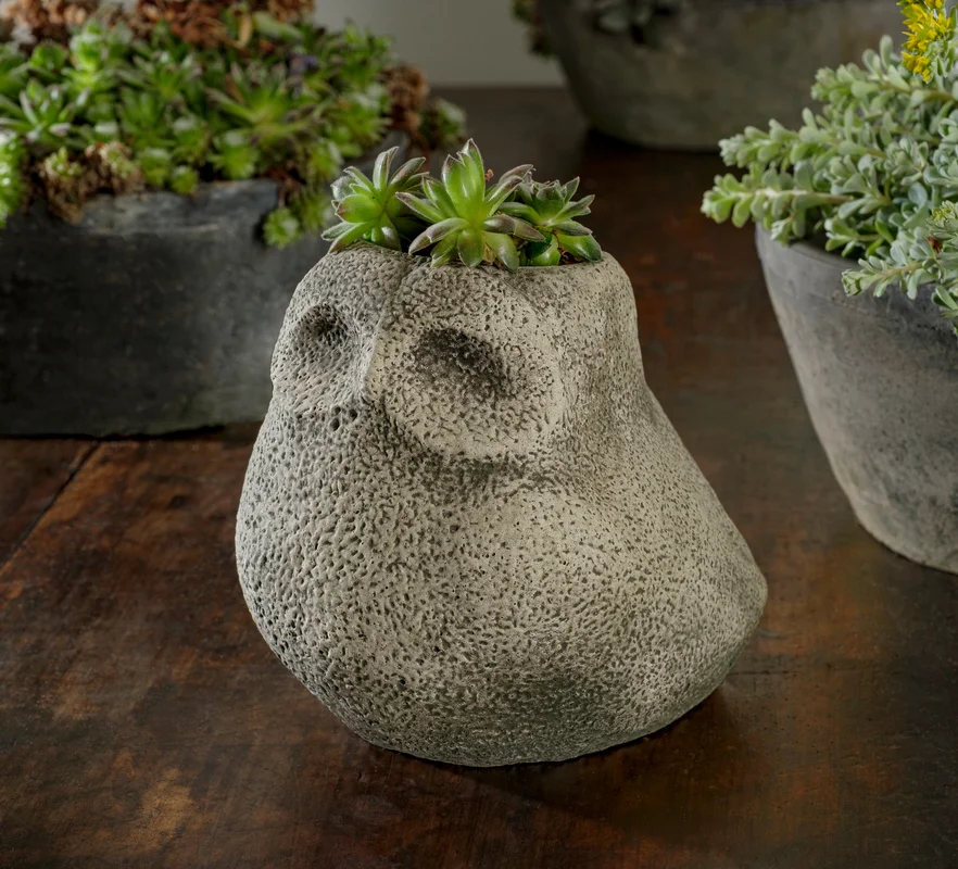 birdsallgarden992852