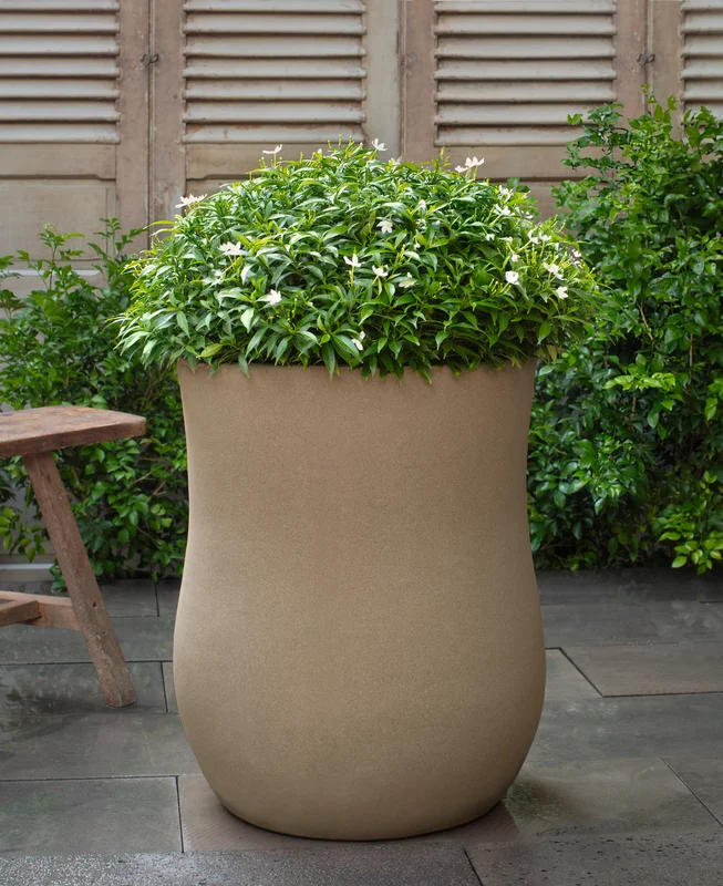 birdsallgarden992878