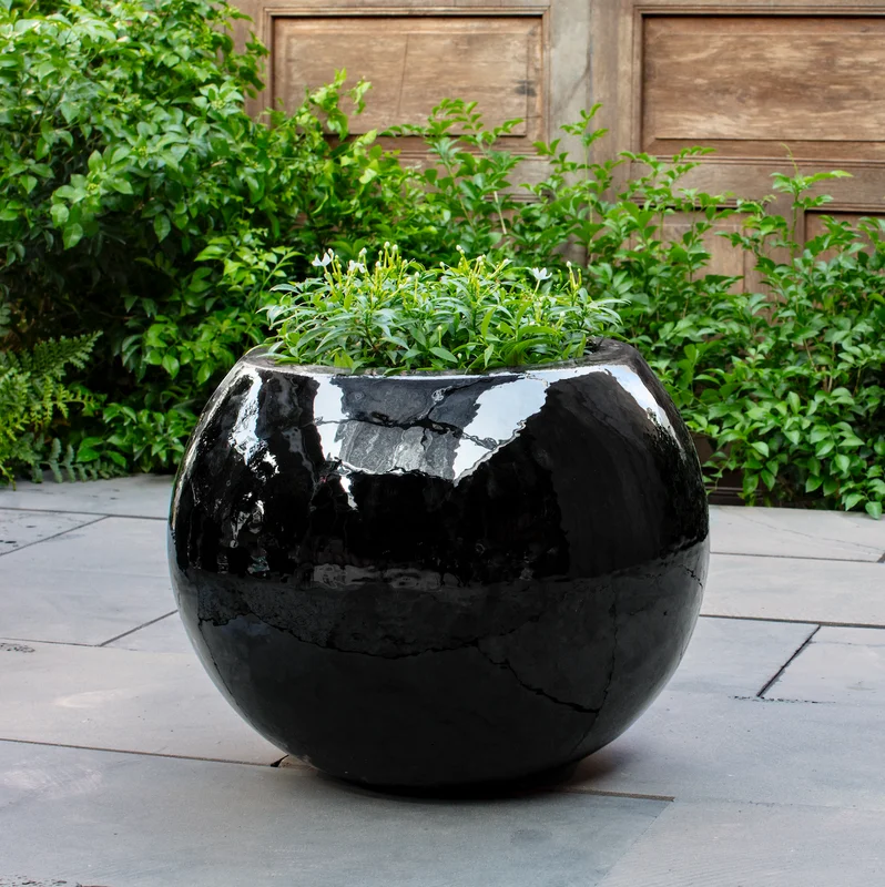 birdsallgarden992886