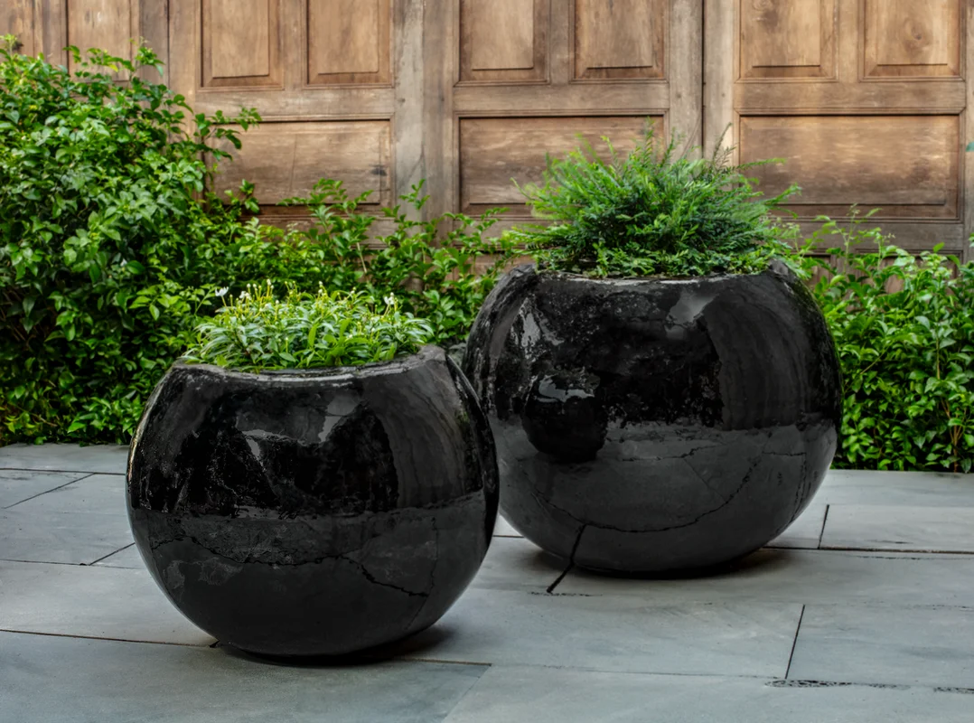 birdsallgarden992887