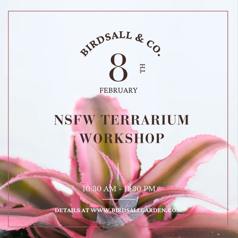 birdsallgarden992914
