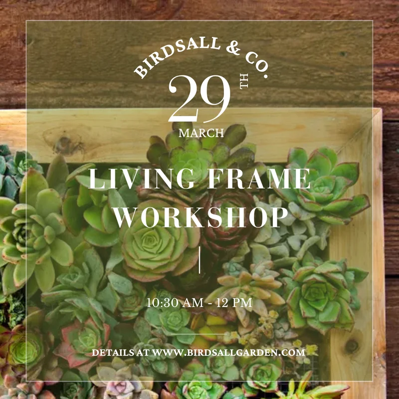 birdsallgarden992916