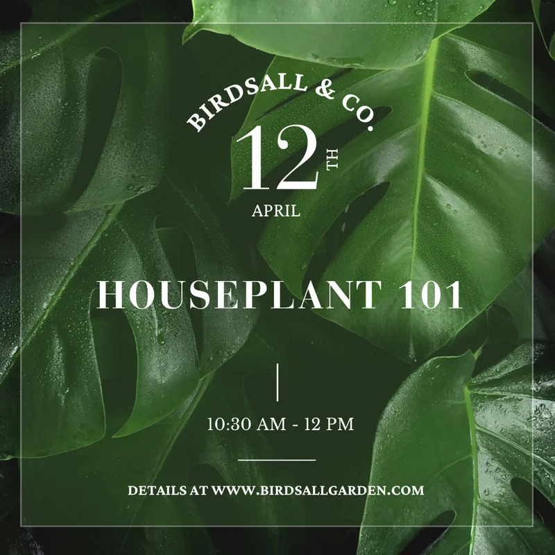 birdsallgarden992918