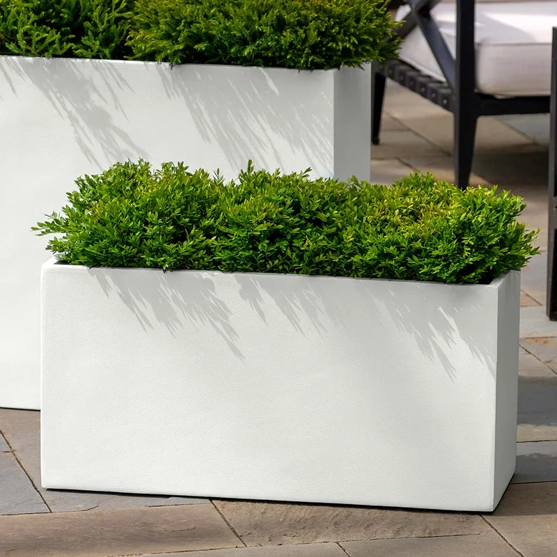 exclusivelycampania926181