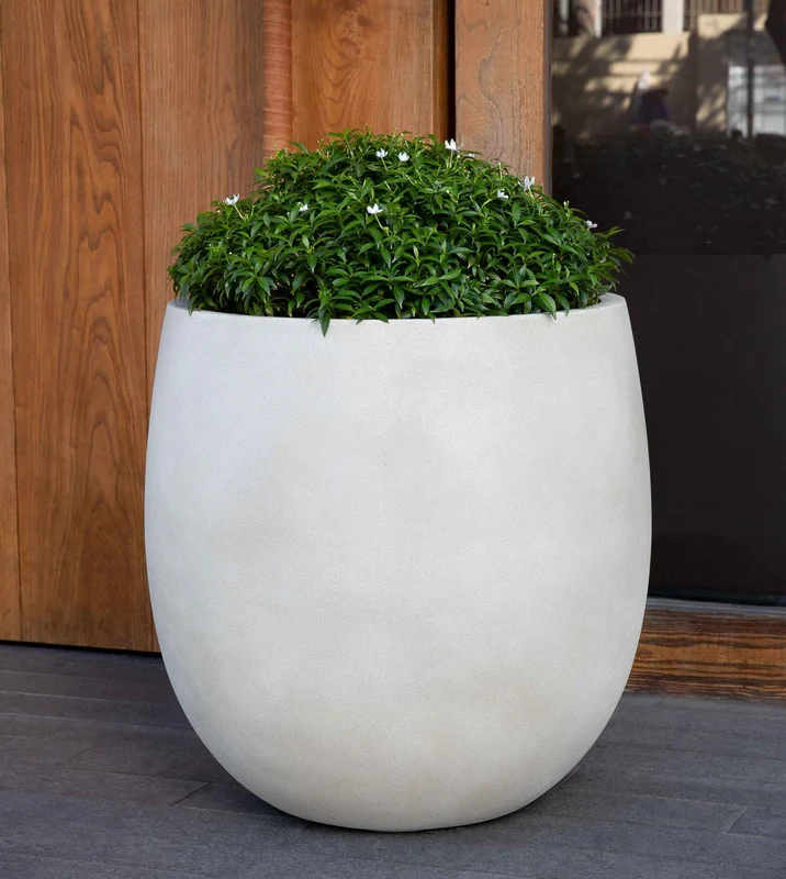 exclusivelycampania930500