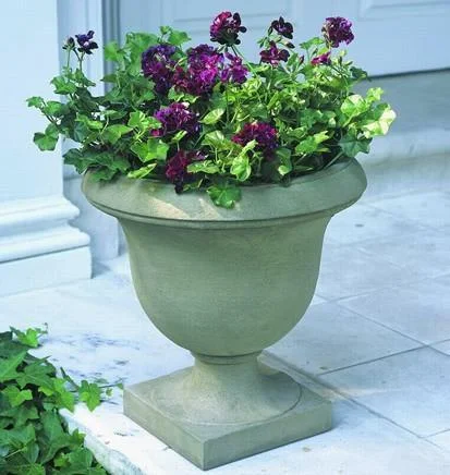 exclusivelycampania933204