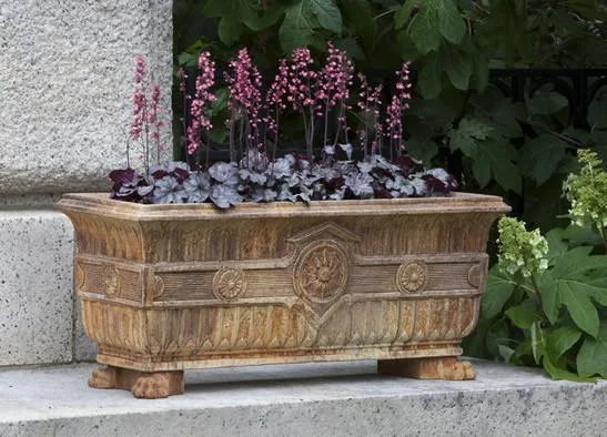 exclusivelycampania934157