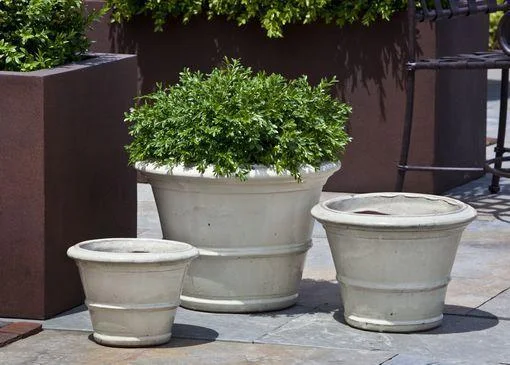 exclusivelycampania935606