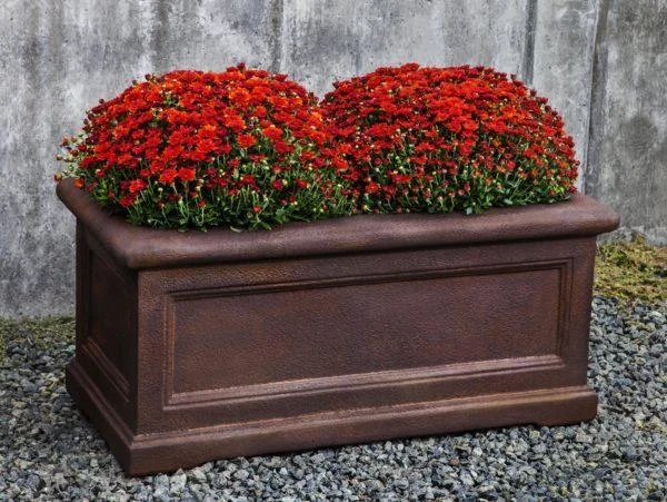 exclusivelycampania936050