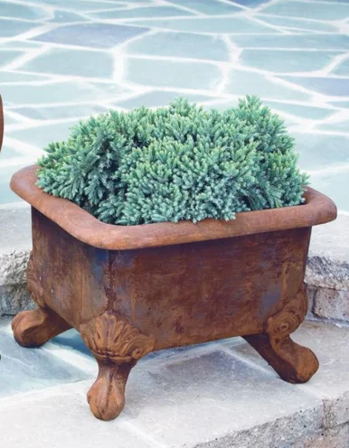 fourseasonsgardenart-1009238