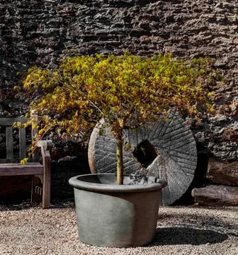 fourseasonsgardenart-1010025