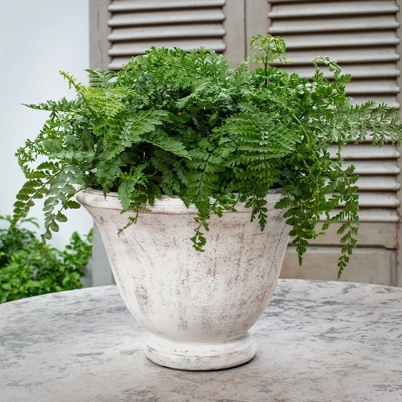 garden-fountains939031