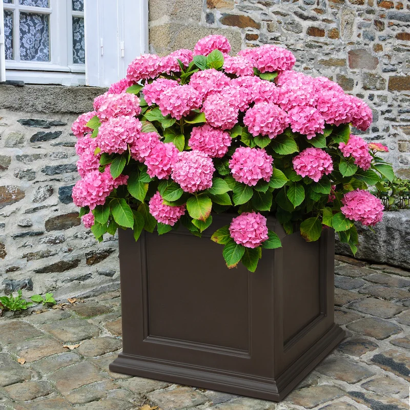 garden-fountains945478