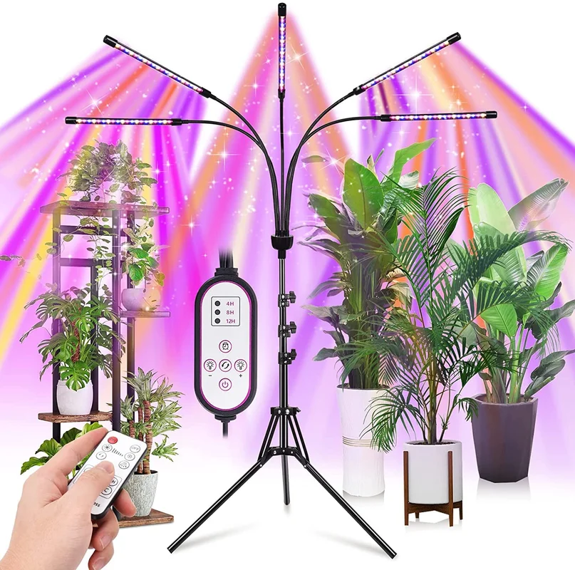 gardenreet927083