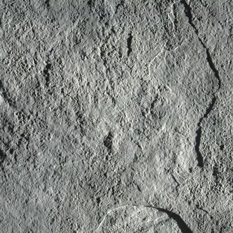 lurveys-1000904