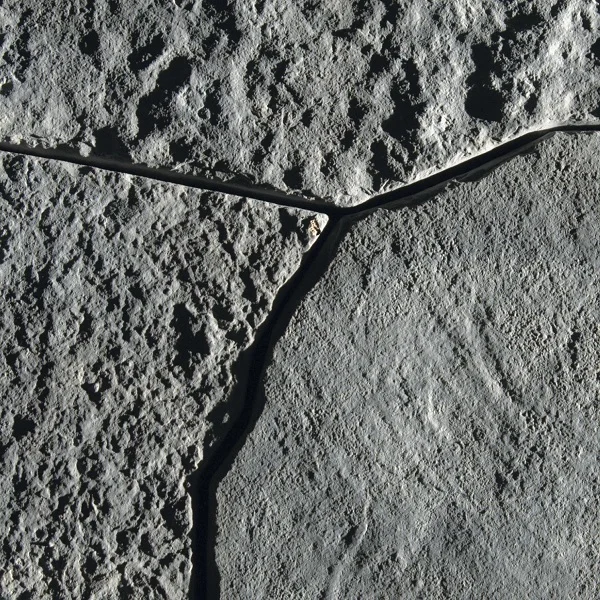 lurveys-1001460
