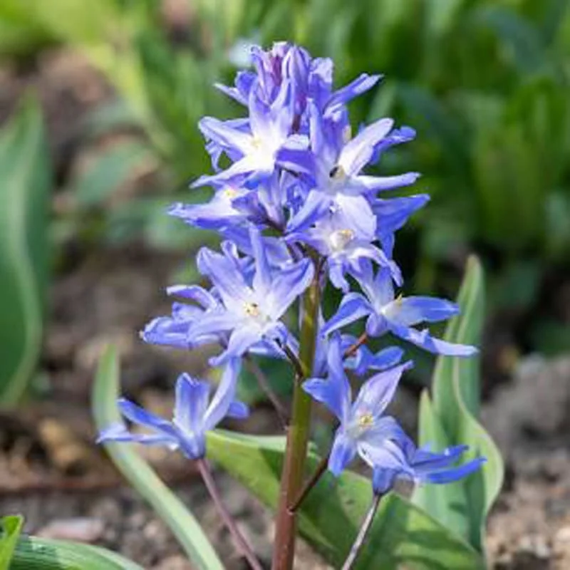 lurveys-1001563