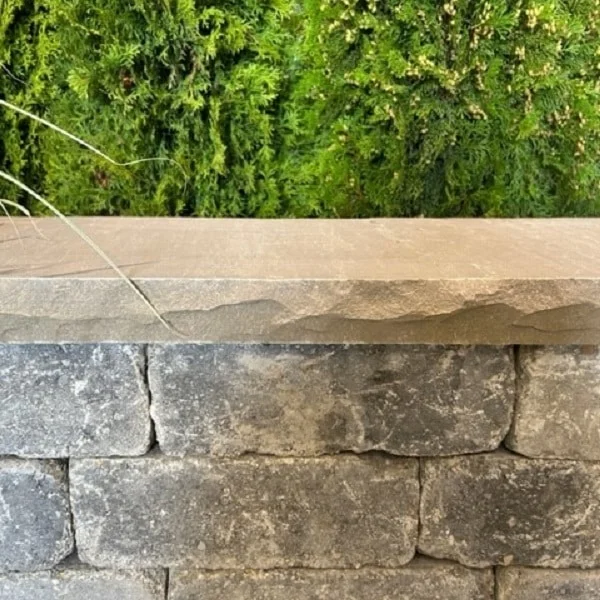 lurveys-1001843