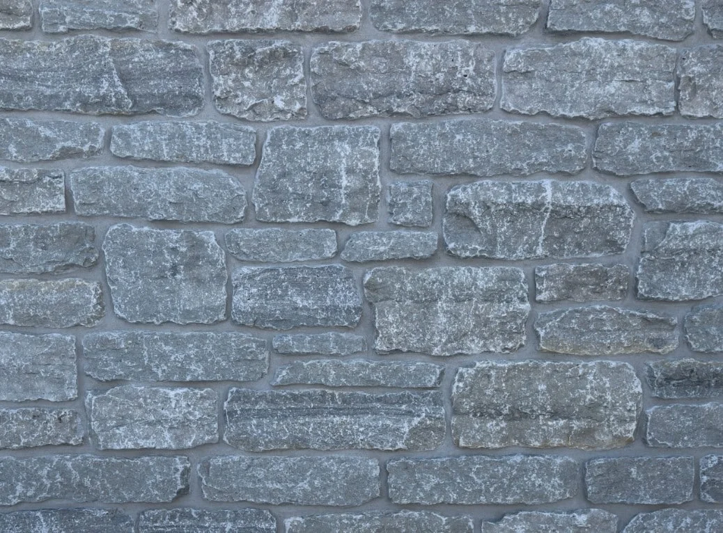 lurveys-1004587