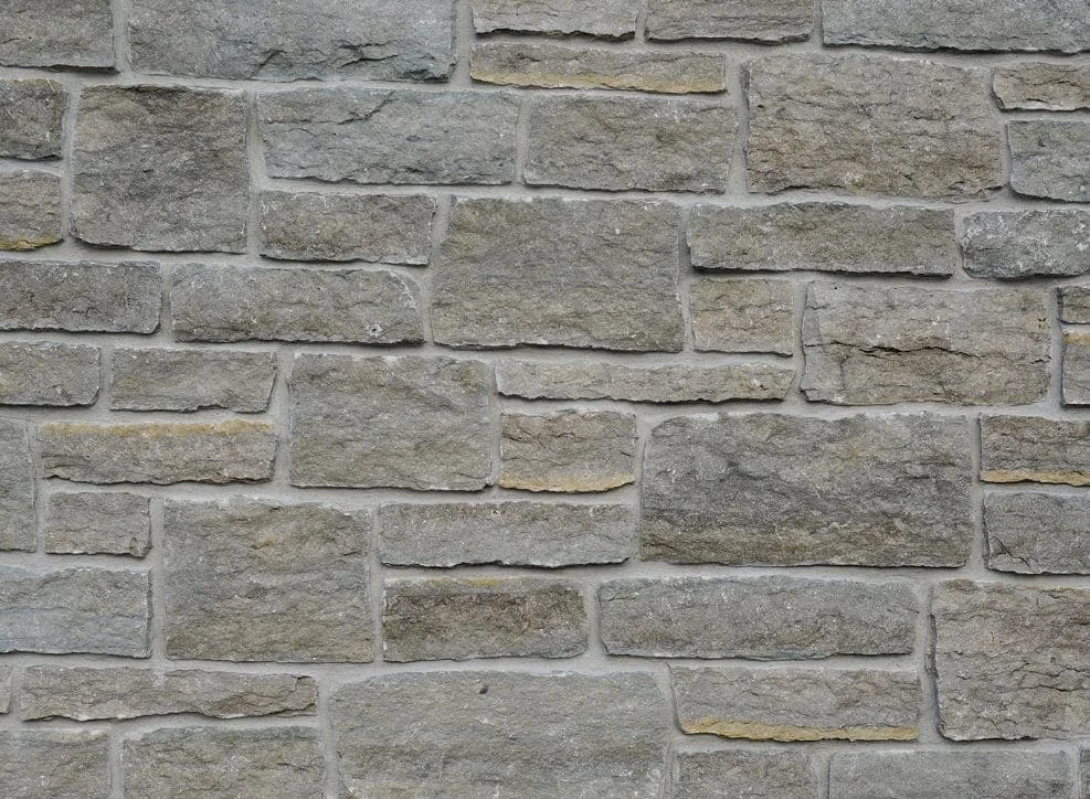 lurveys-1005662