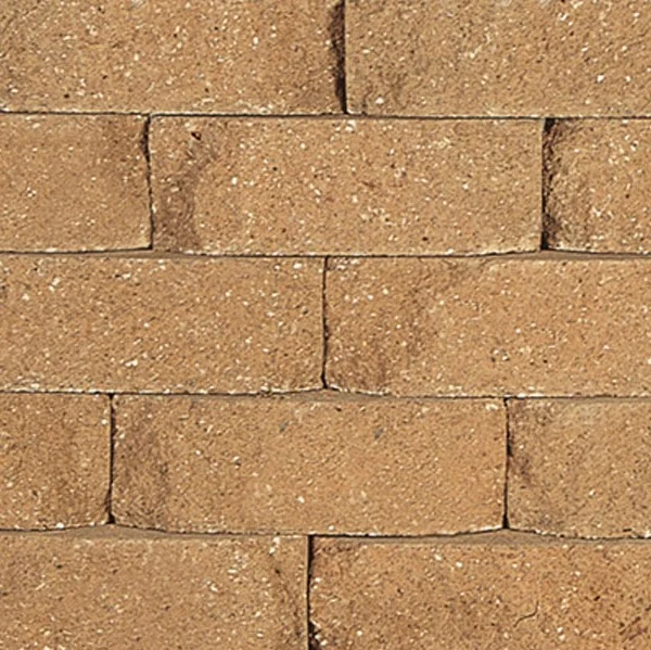 lurveys-1007223