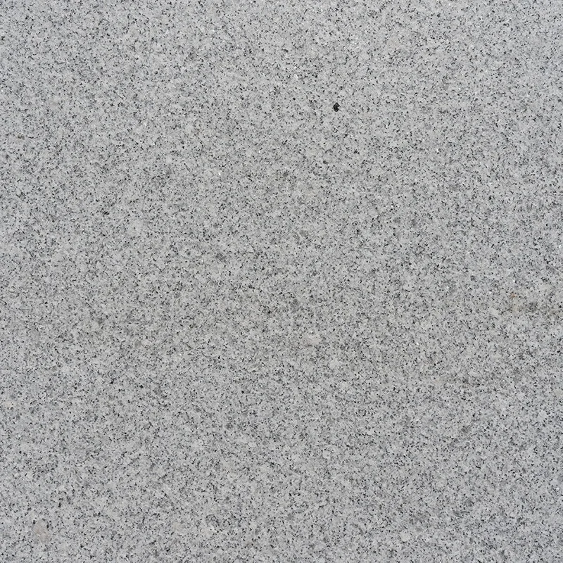 lurveys-1007722