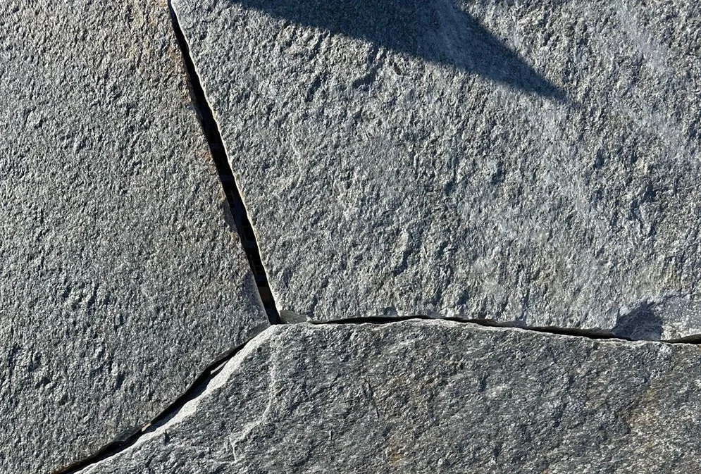 lurveys-1009563