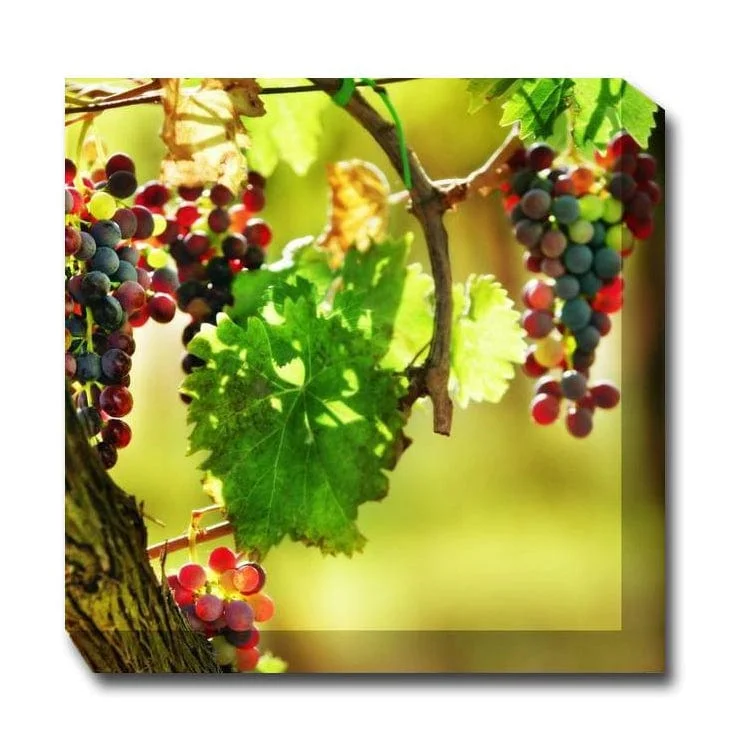 outdoorartpros929564