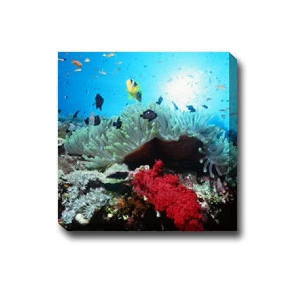 outdoorartpros929634