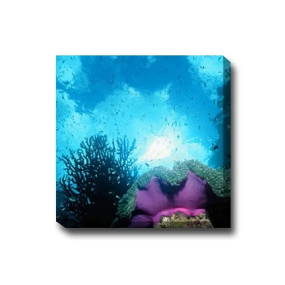outdoorartpros929642