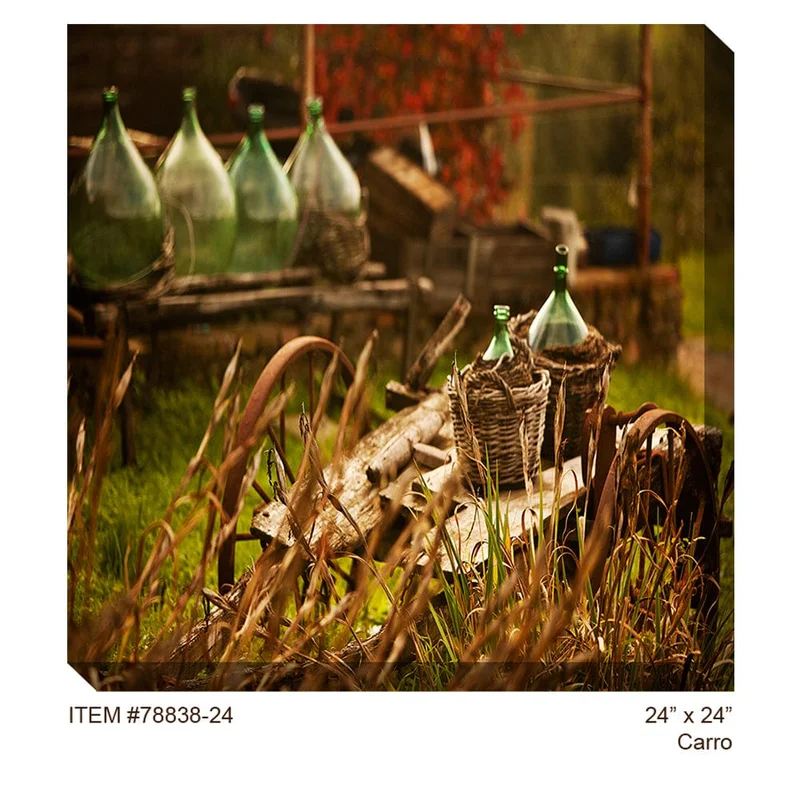 outdoorartpros937571