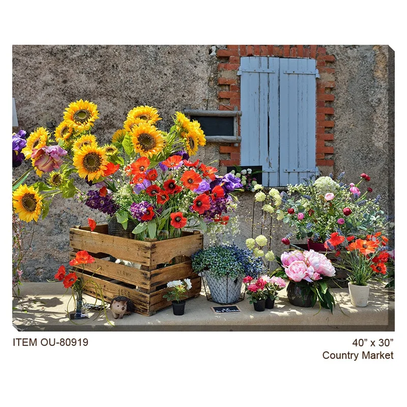 outdoorartpros937610