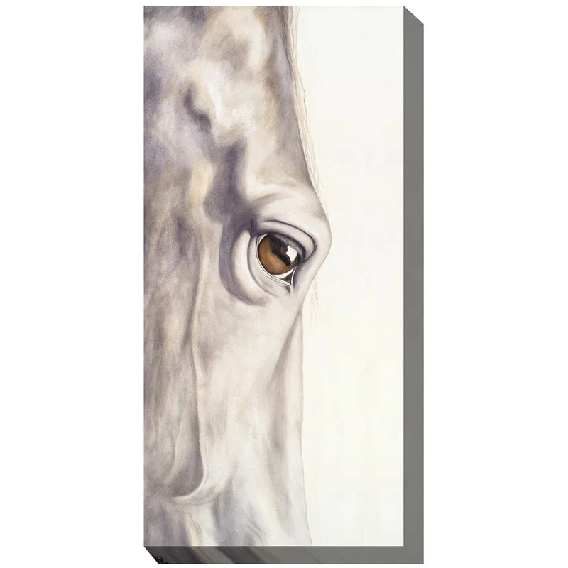 outdoorartpros937992