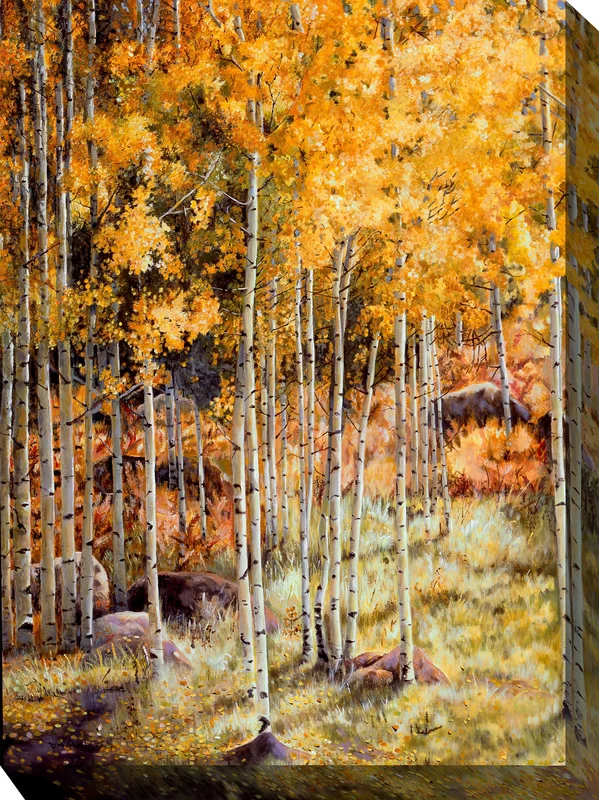outdoorartpros940327