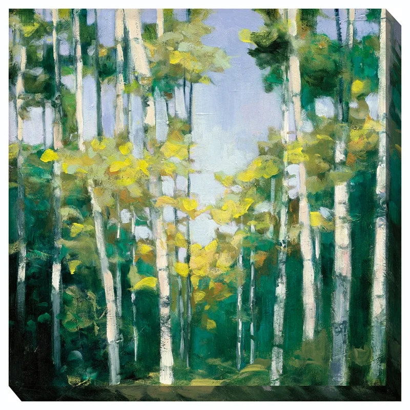 outdoorartpros951082