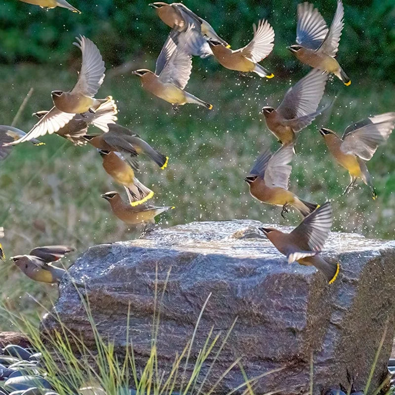 outdoorartpros952345