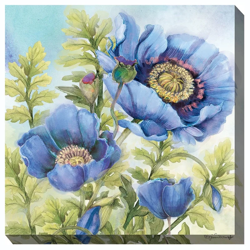 outdoorartpros958091