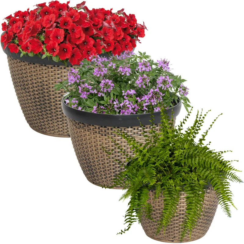 serenityhealth932649