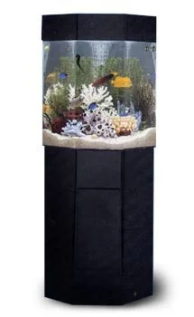 soothingcompany993045