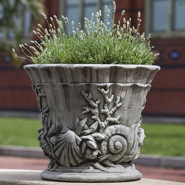 theblissfulplace929692