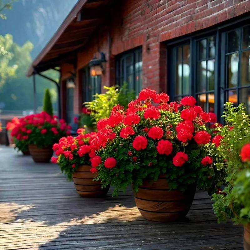 theblissfulplace937708