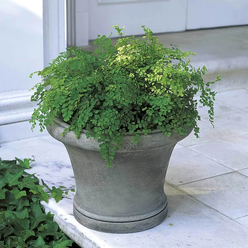 thegardengates925563