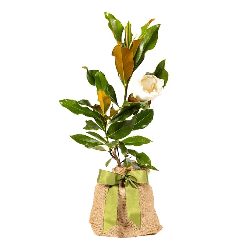 thegardengates943733