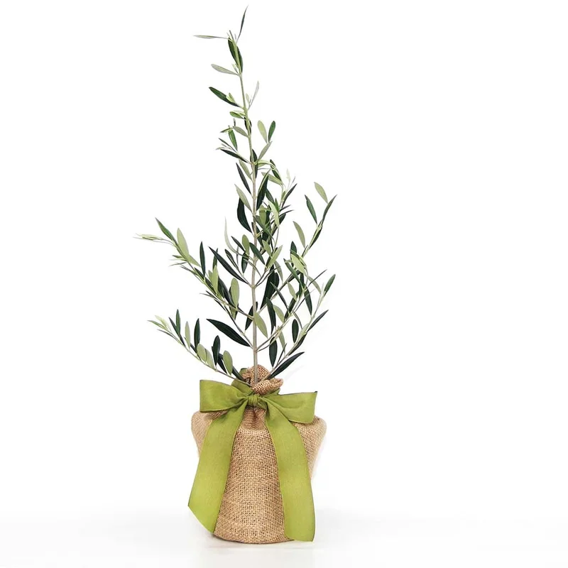 thegardengates943741