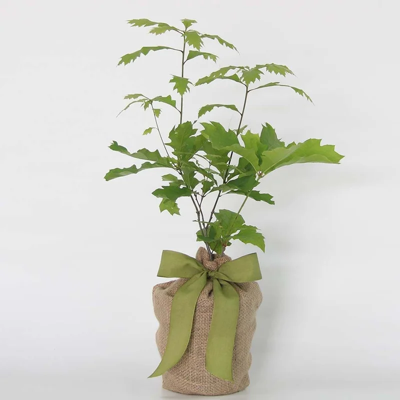 thegardengates943758