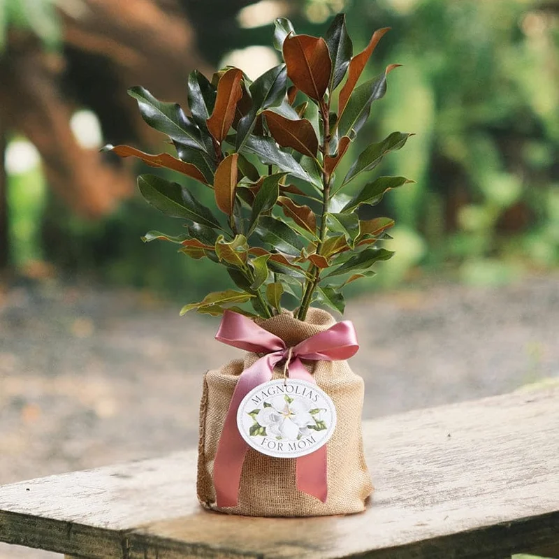 thegardengates945764