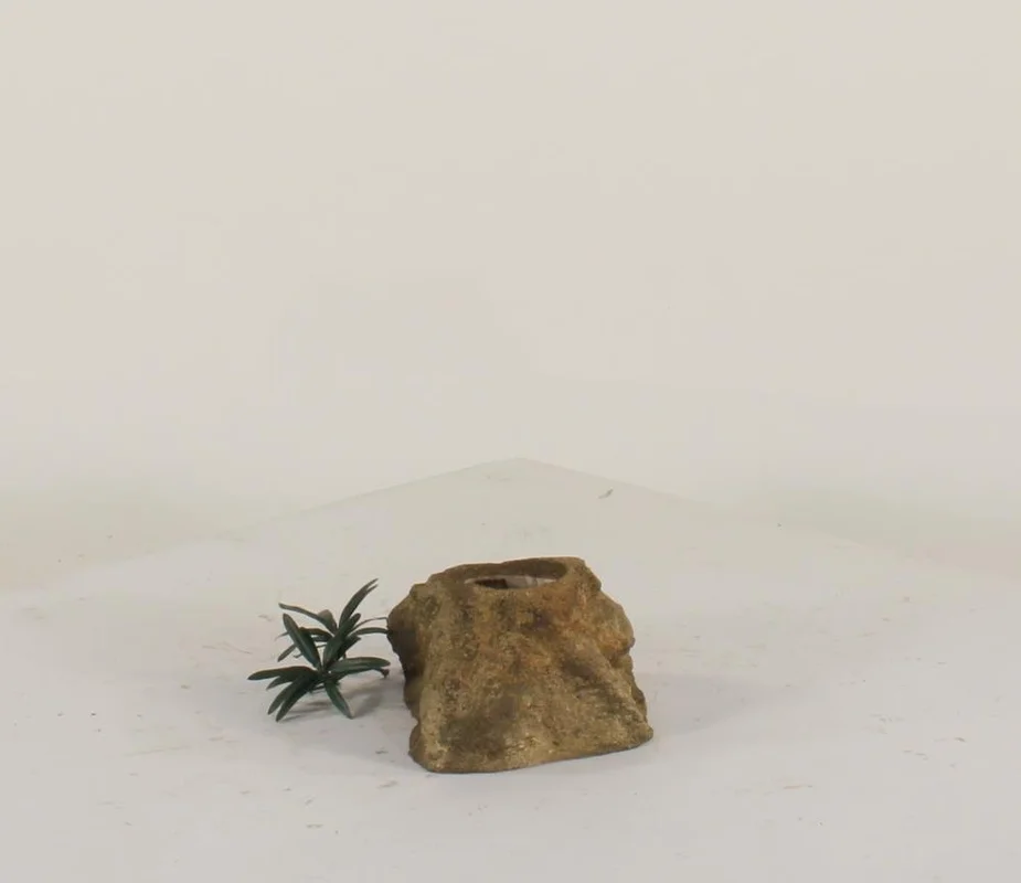 universalrocks-1000126