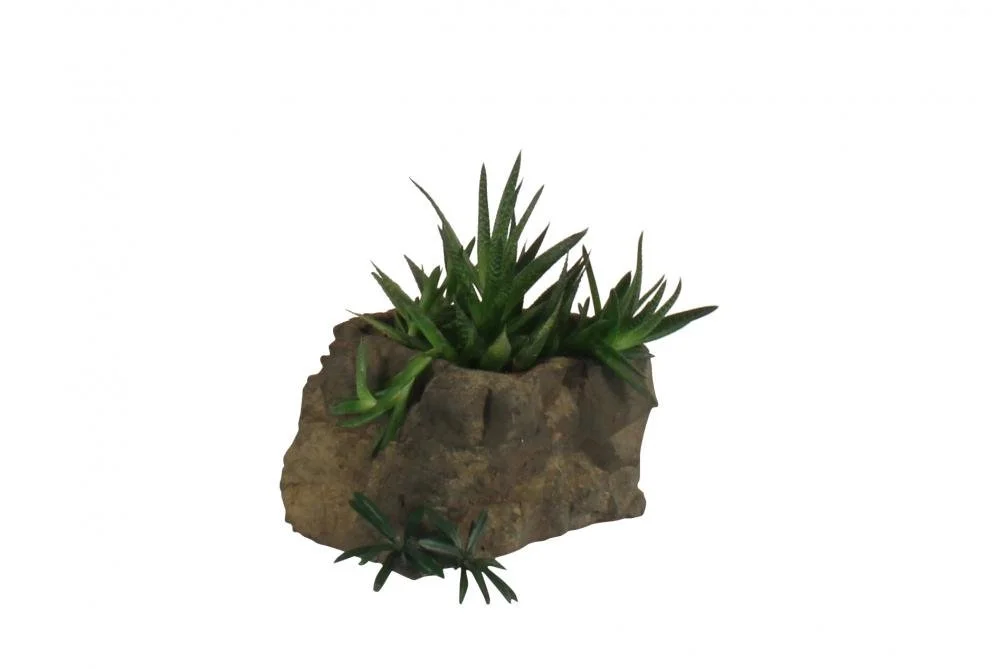 universalrocks-1000157